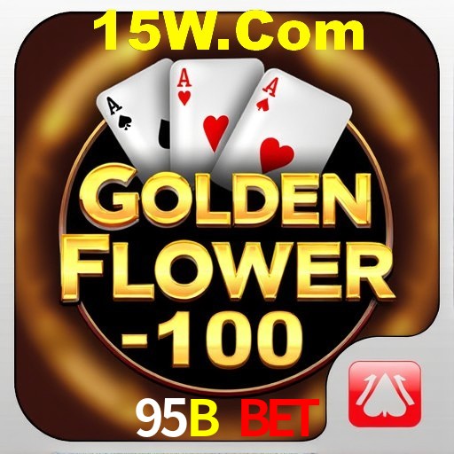 Interface Premium 95B Bet